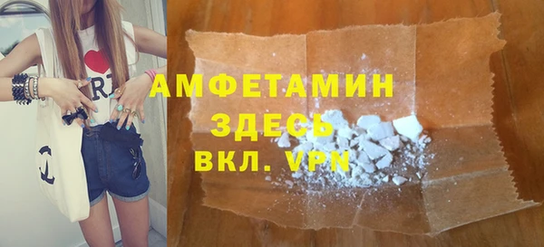 прущие грибы Михайлов