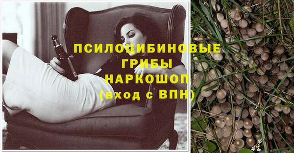 трава Медвежьегорск