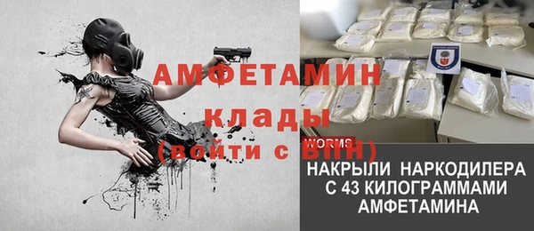 трава Медвежьегорск