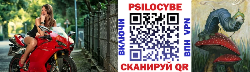 где купить наркоту  Ленинск-Кузнецкий  Псилоцибиновые грибы Psilocybe 