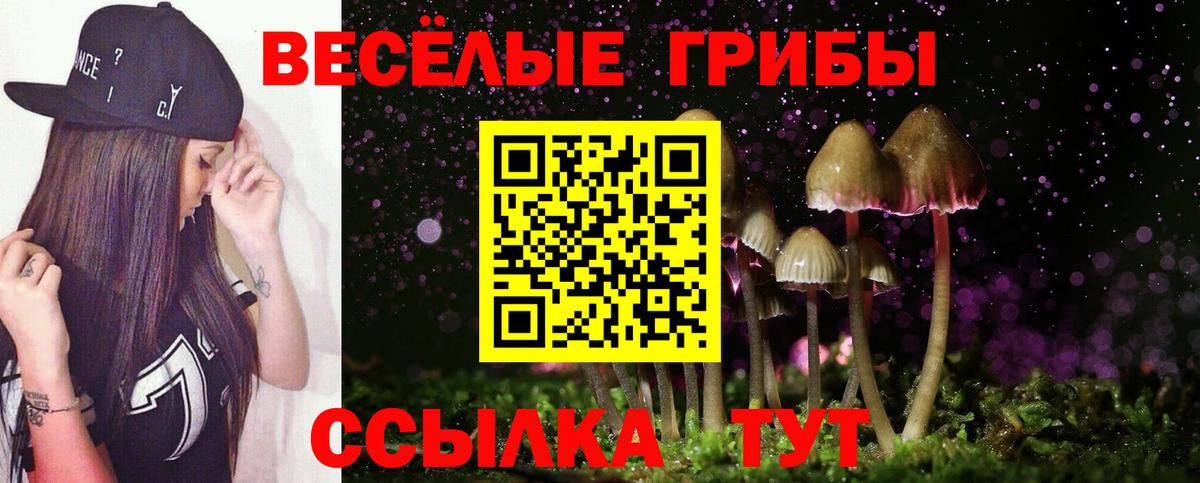 Псилоцибиновые грибы мухоморы Ленинск-Кузнецкий