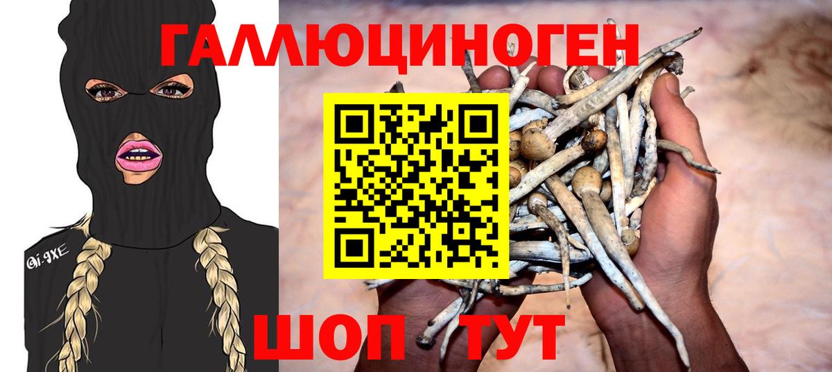 Галлюциногенные грибы ЛСД  Псилоцибиновые грибы Psilocybe  Вход с VPN  где купить наркоту  Ленинск-Кузнецкий 
